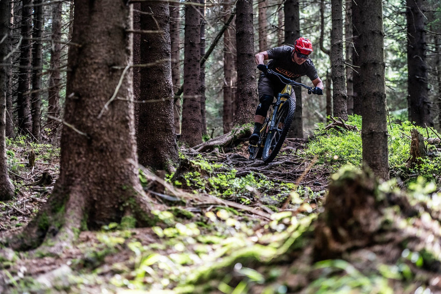 Silvini men's jersey MD1803 Denno