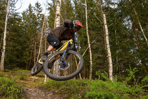 Silvini men's shorts MP1805 Fabriano