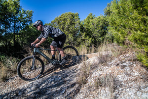 Silvini men's shorts MP1805 Fabriano