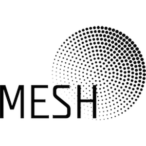 mesh